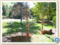 Conference Center at Blueberry Lane, Laconia, NH